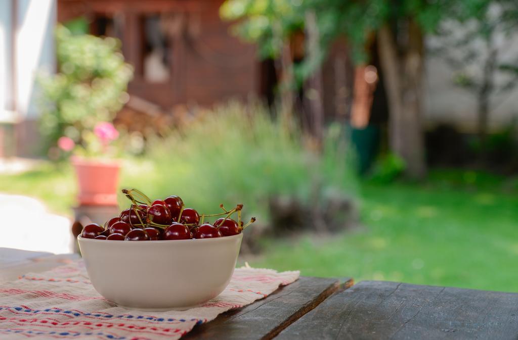 Pensiunea La Despani Braşov Exterior foto